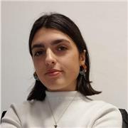 Imparto clases de todas las materias en educación primaria y de inglés y matemáticas en ESO